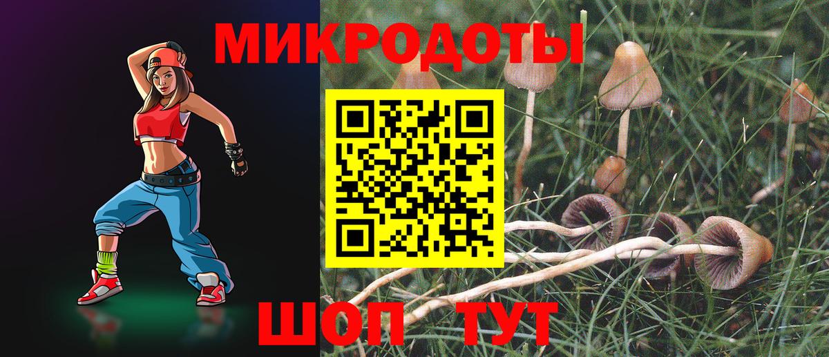Галлюциногенные грибы Cubensis Волгодонск